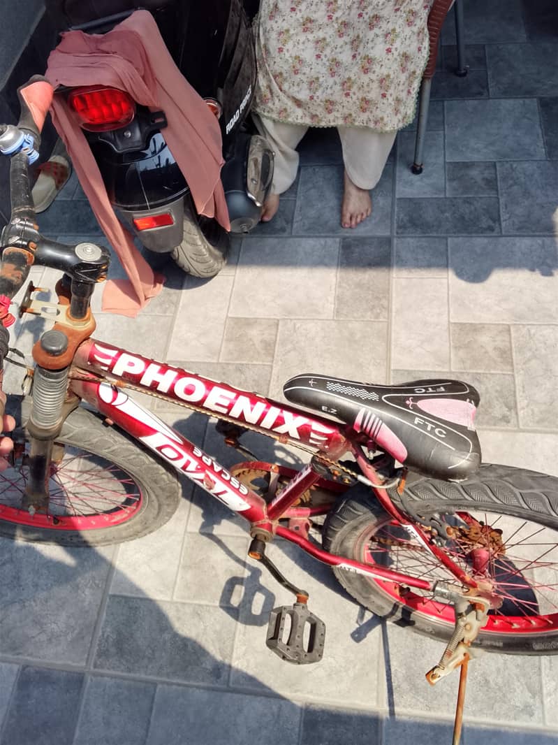 bicycle 3