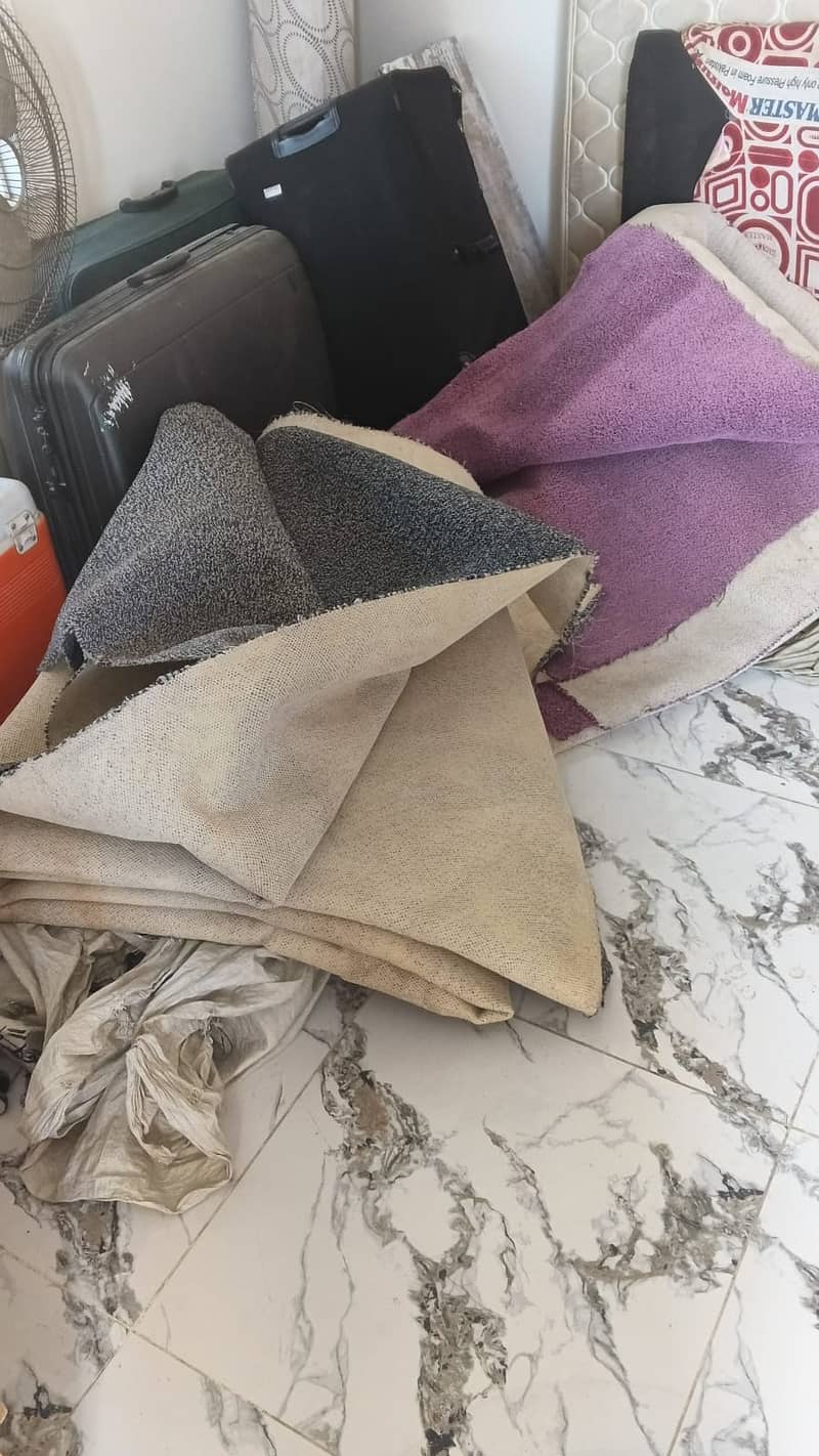 Carpet 4