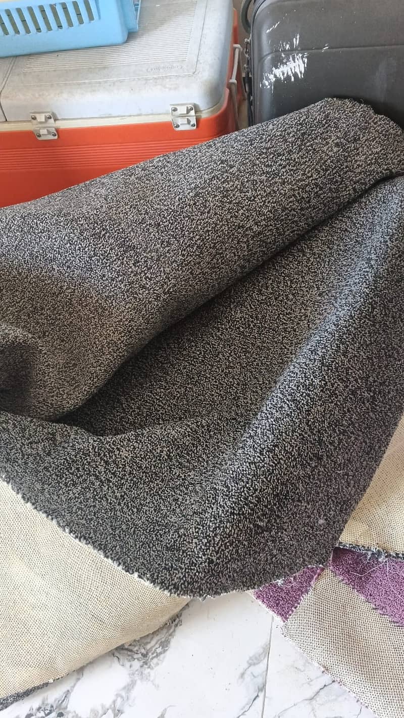 Carpet 5