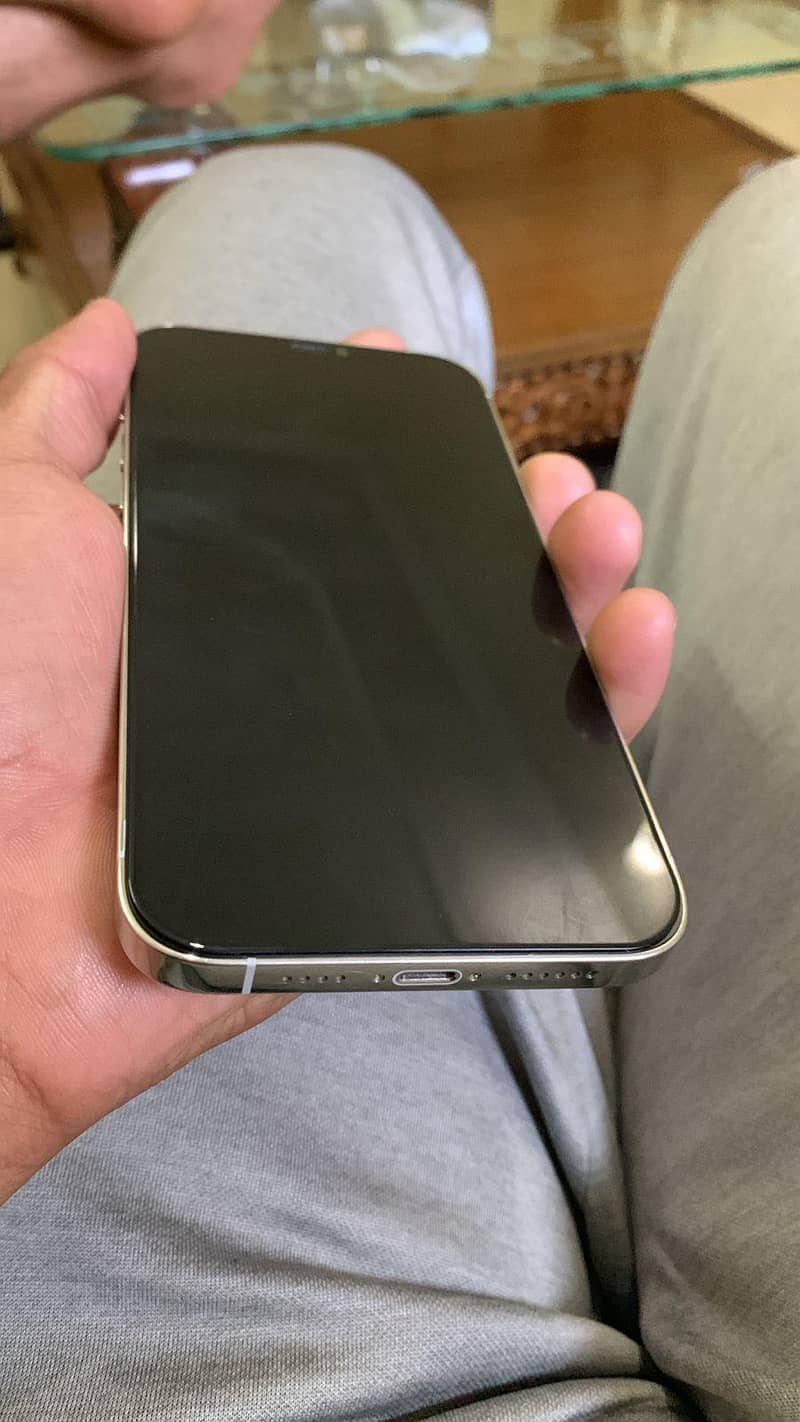 Apple 12Pro Max 2