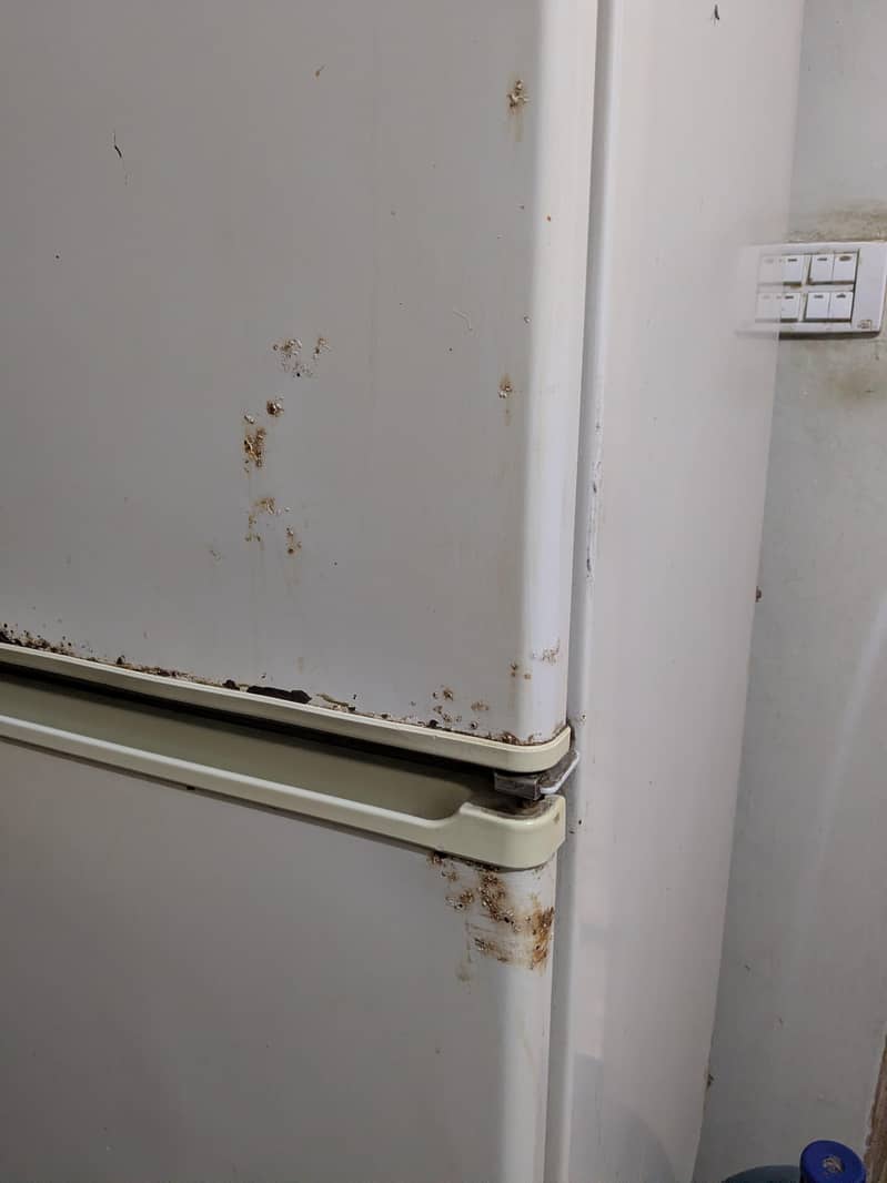 Refrigerator 4