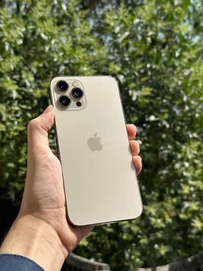 iPhone 12 Pro Max Waterpack Jv
