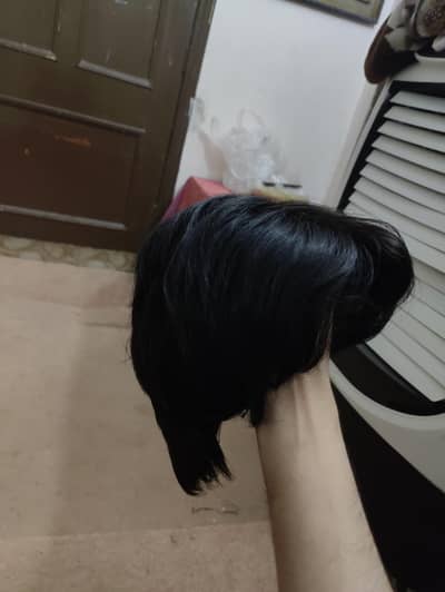 hair wig