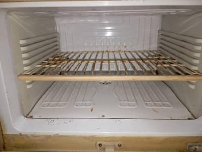 PEL REFRIGERATOR