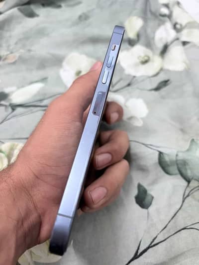 iPhone 13 pro max factory unlocked