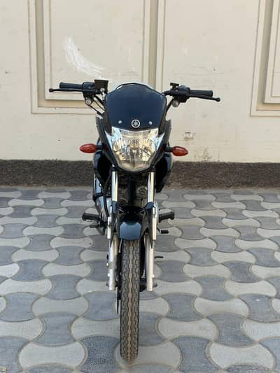 ybr 23model finl 310k