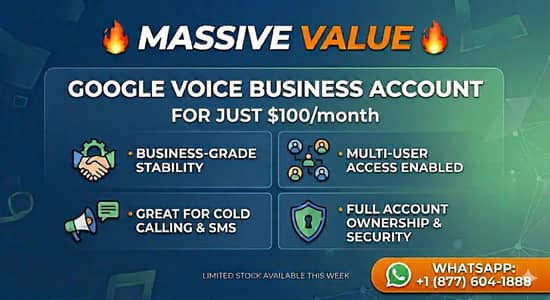 Google voice business  USA ,CANADA,UK,
