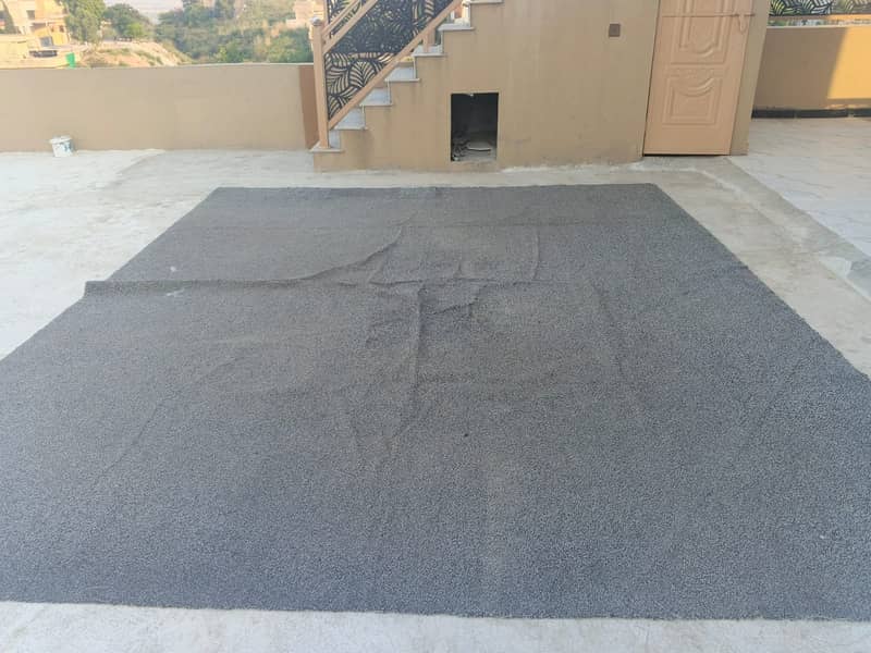 Carpet 6