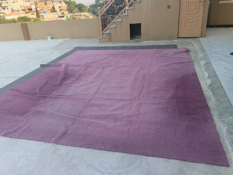 Carpet 7