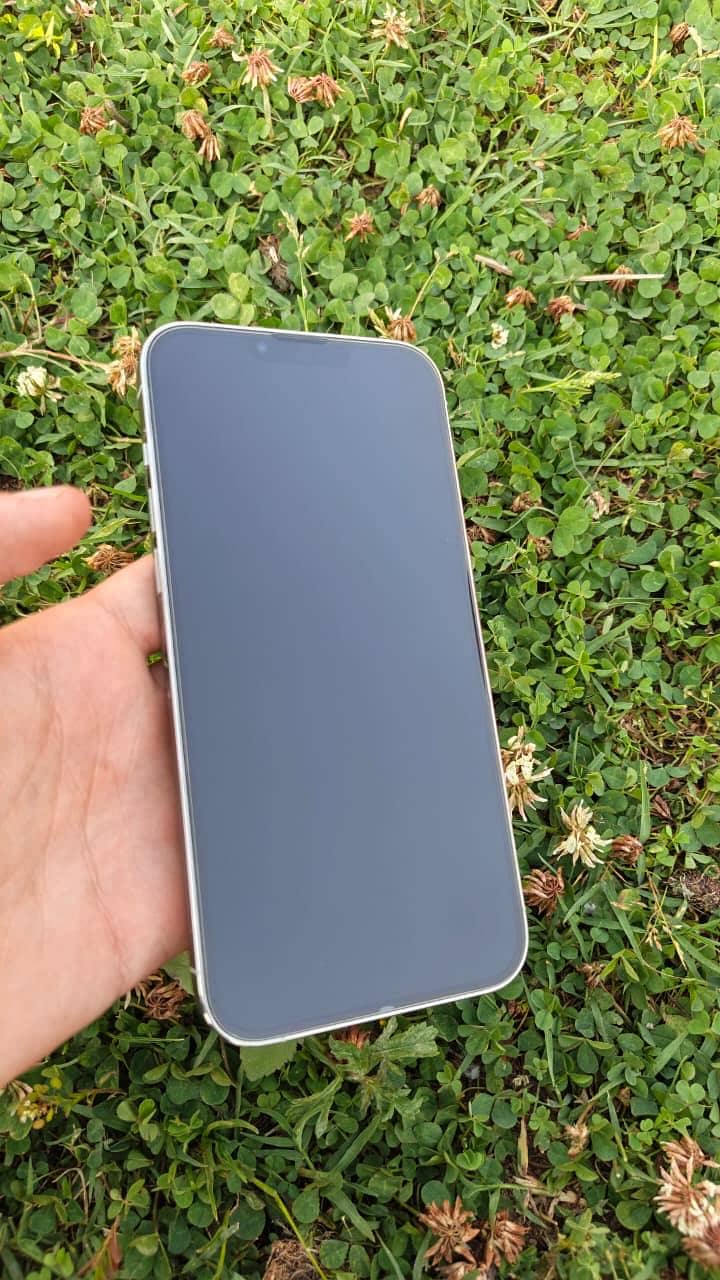 Iphone 13 pro max 1