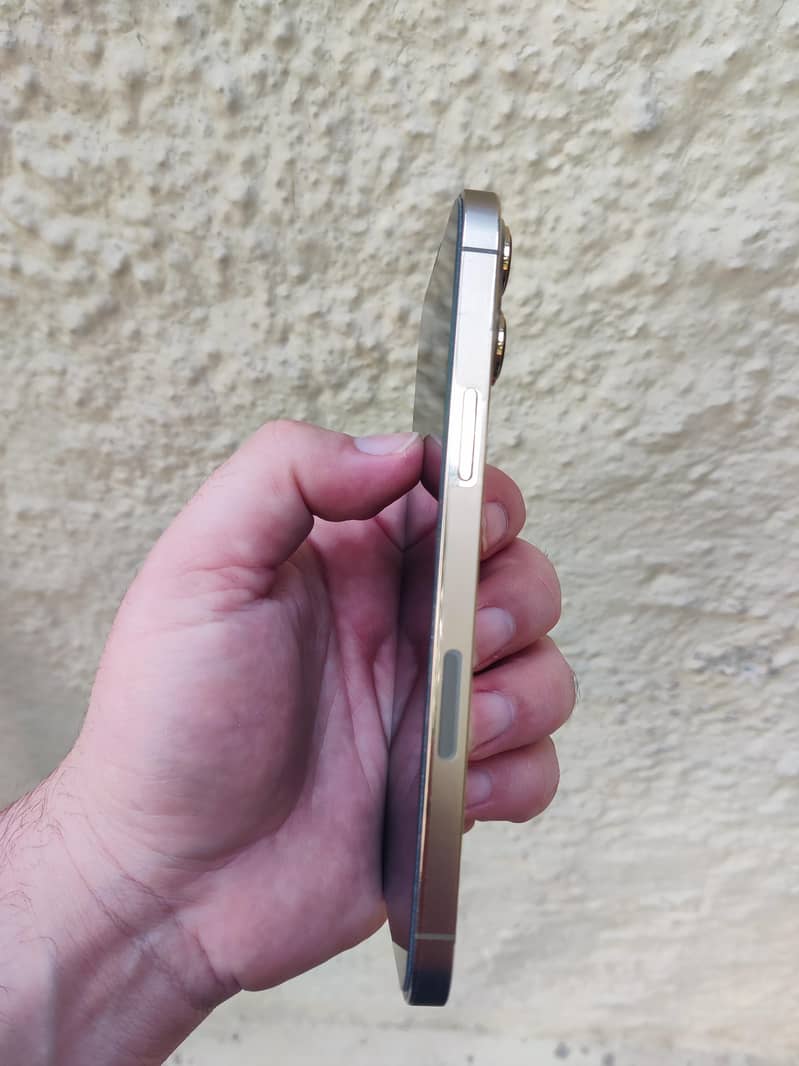 iphone 13 Pro Max 1