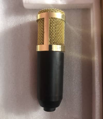 Bm800 mic