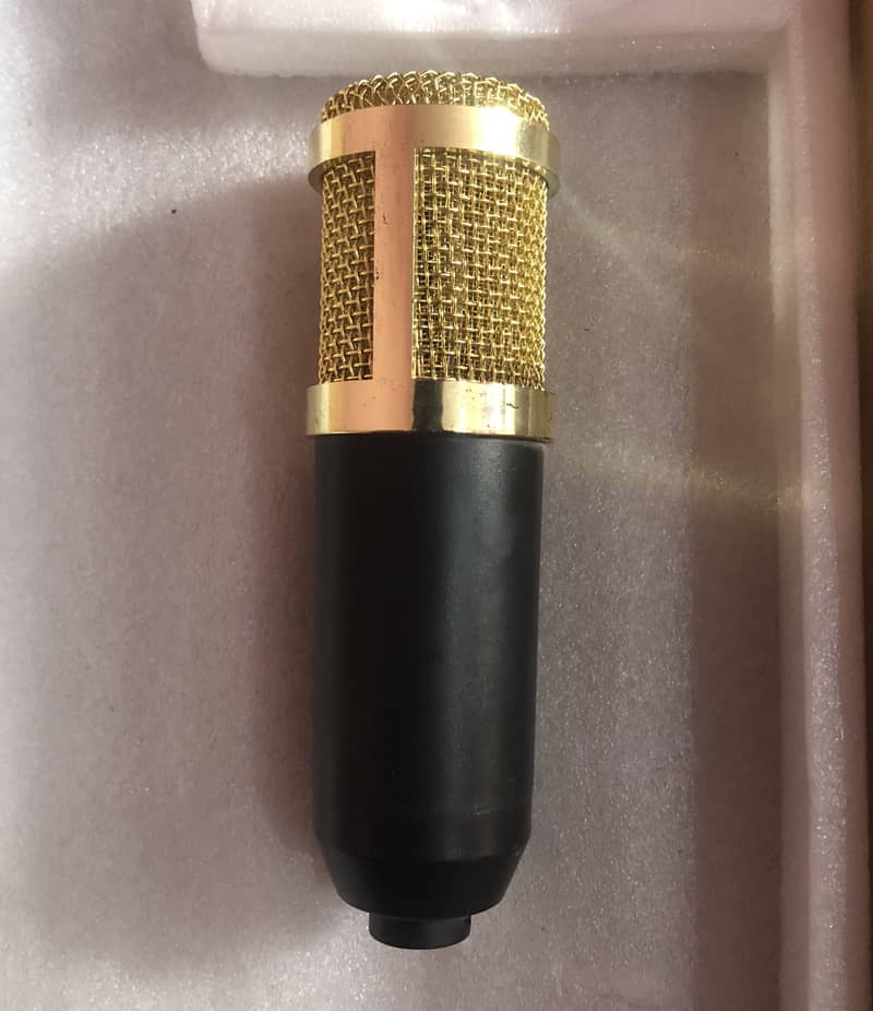 Bm800 mic 0