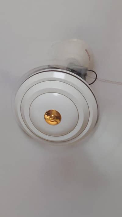 Royal ceiling Fan