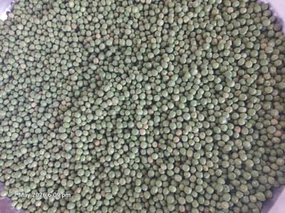 80kg Fresh Frozen Peeled Peas (Chhilay Huay Matar) for Sale