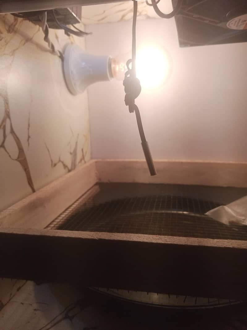 incubator 2