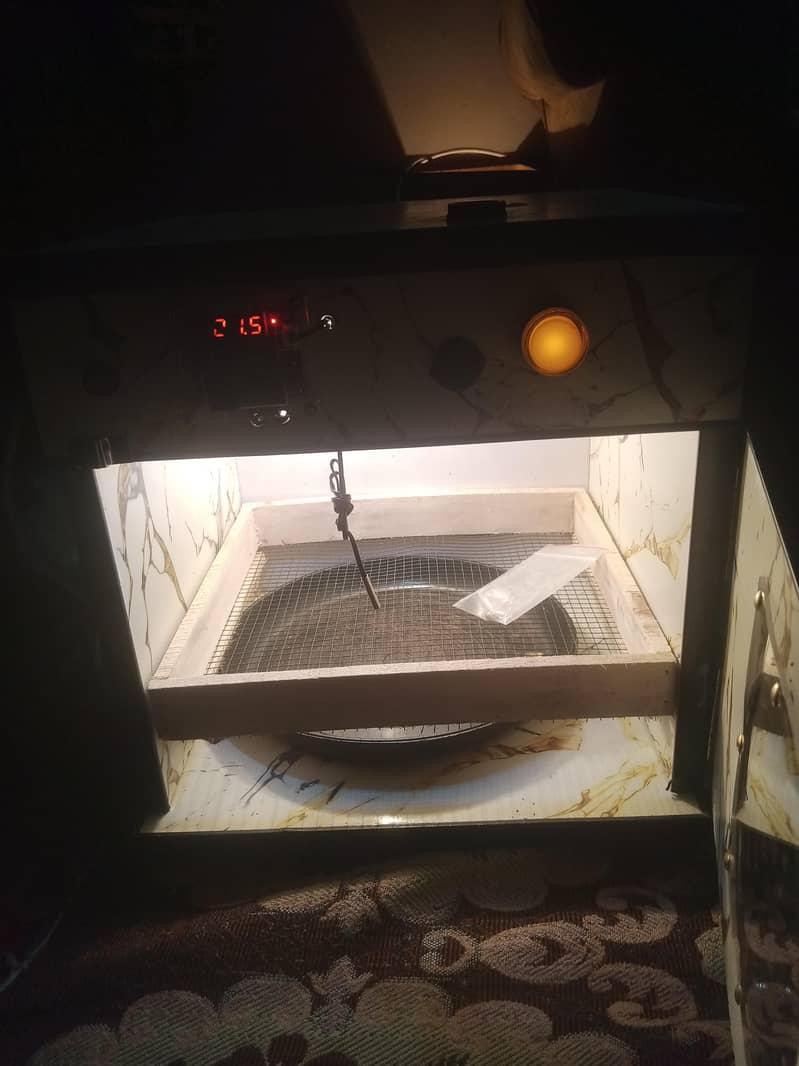 incubator 3