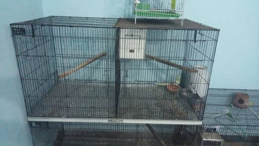Budgie's ; Cocktail ; Cage