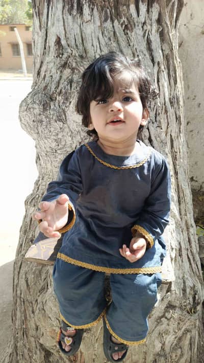 Ali Hassan 