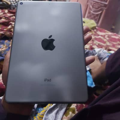 ipad mini 5