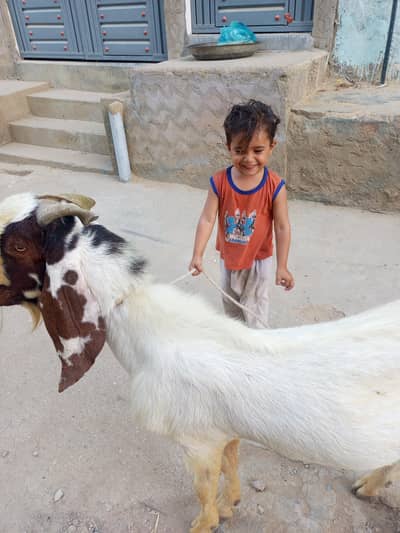 laahori and Balochistan