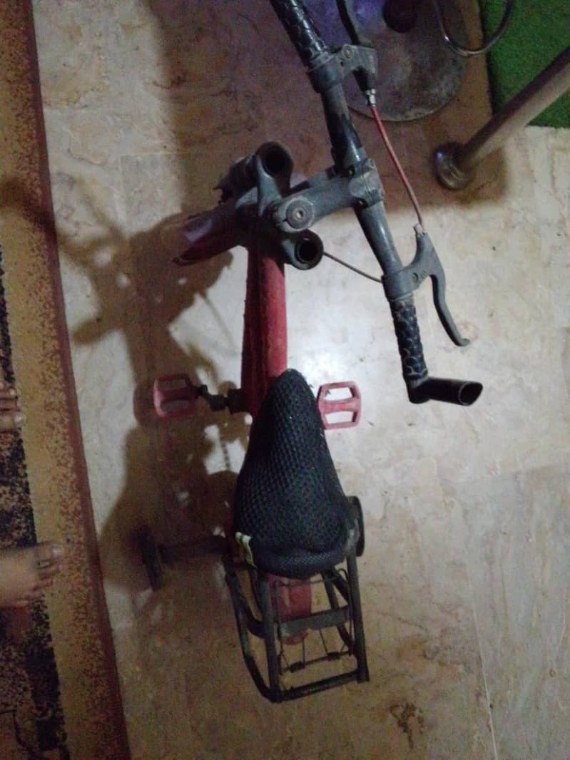 cycle china made 1