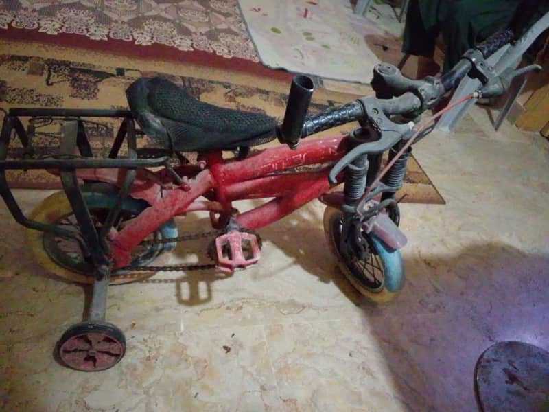 cycle china made 2