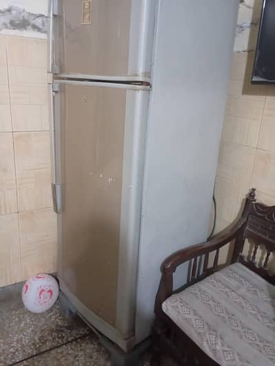 fridge
