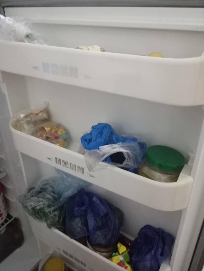 fridge 2