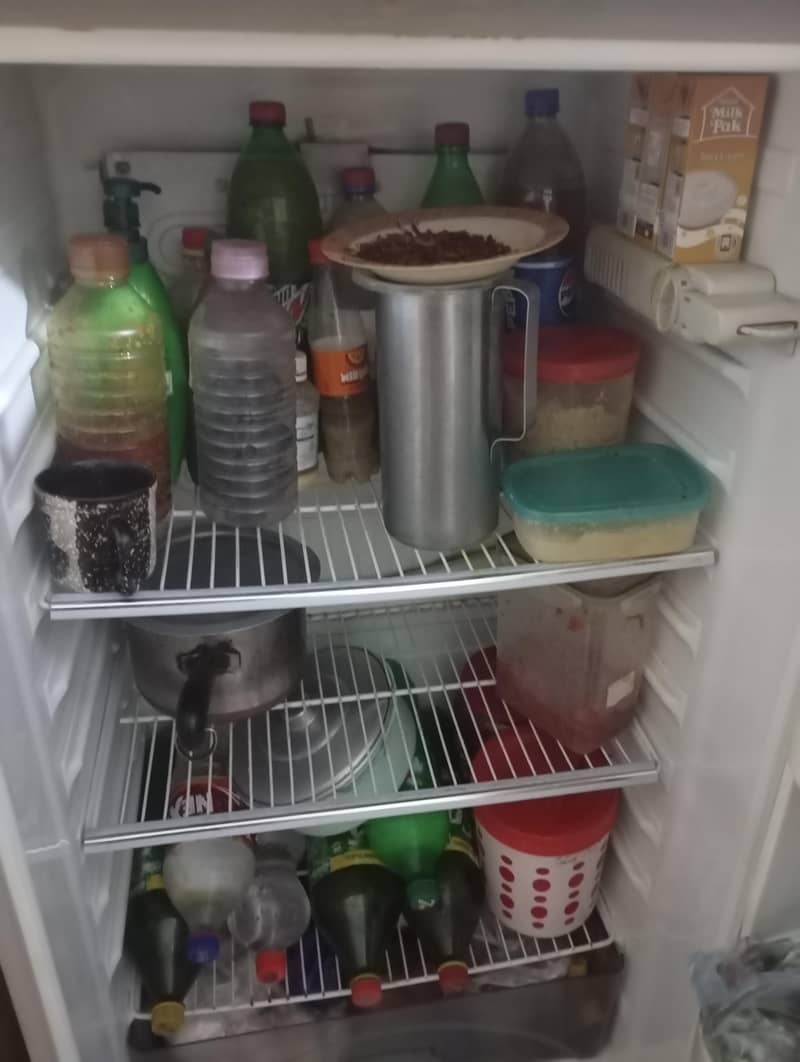 fridge 4