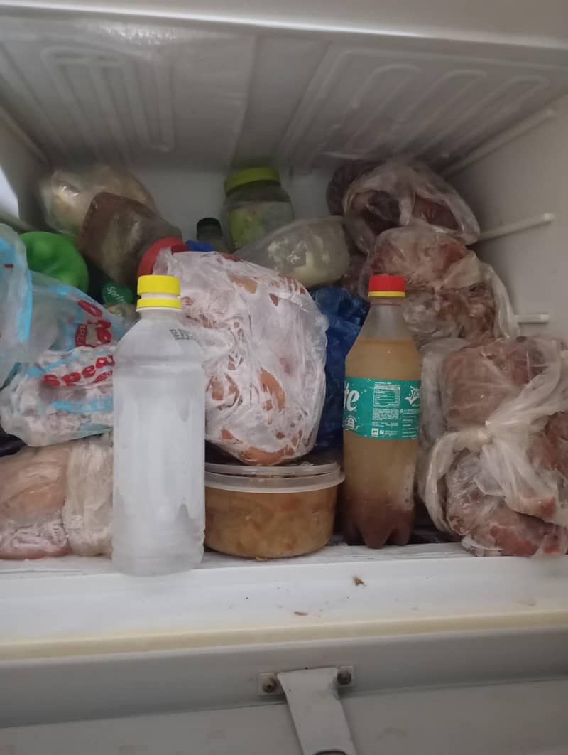 fridge 6