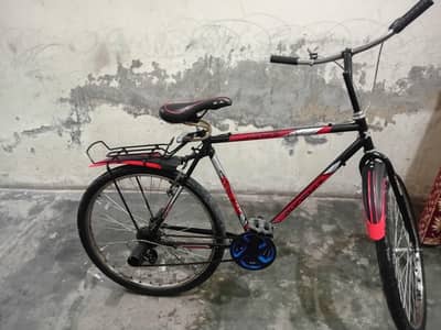 Phoniex Bicycle jeniun.