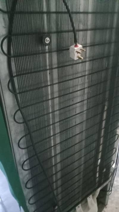 Haier Freezer