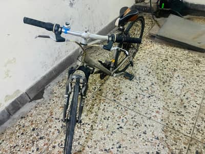 Giant Imported bicycle