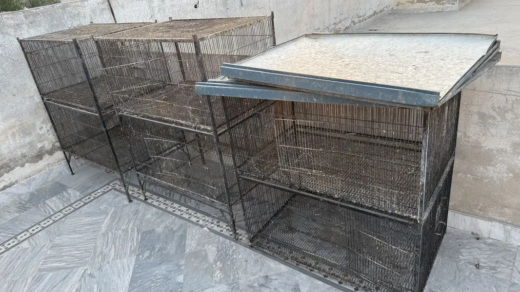 Animal and birds cage steel