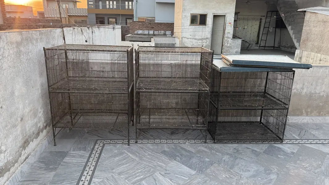 Animal and birds cage steel — photo 2