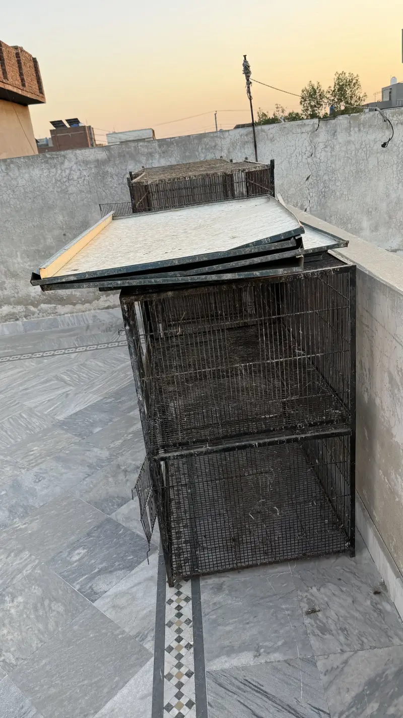 Animal and birds cage steel — photo 3