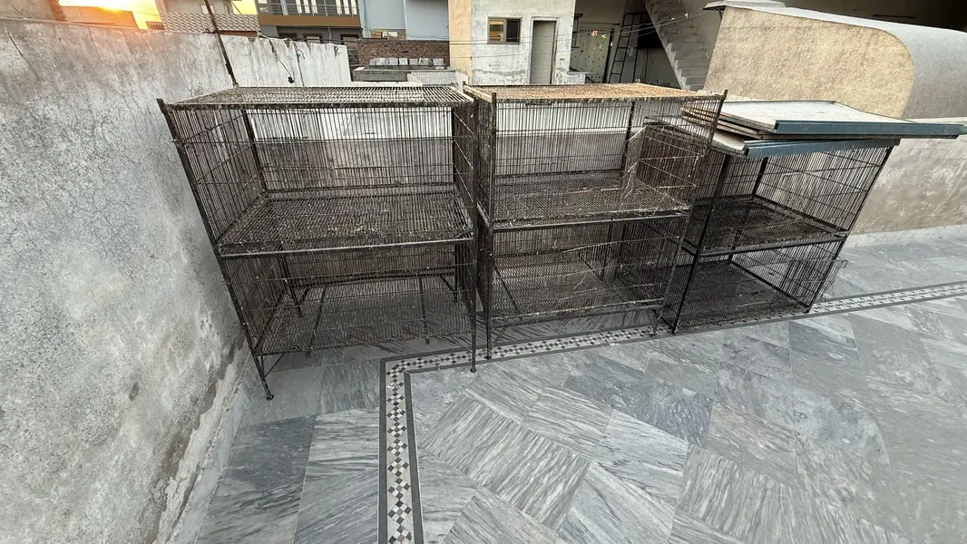 Animal and birds cage steel — photo 4