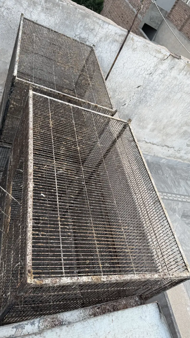 Animal and birds cage steel — photo 5