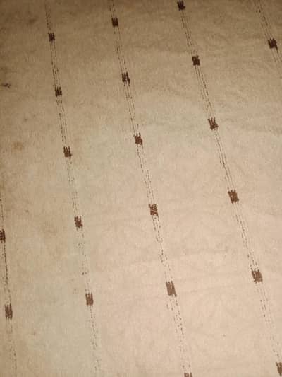 کالین carpet