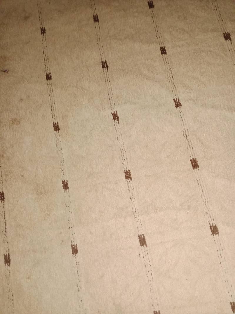 کالین carpet 0