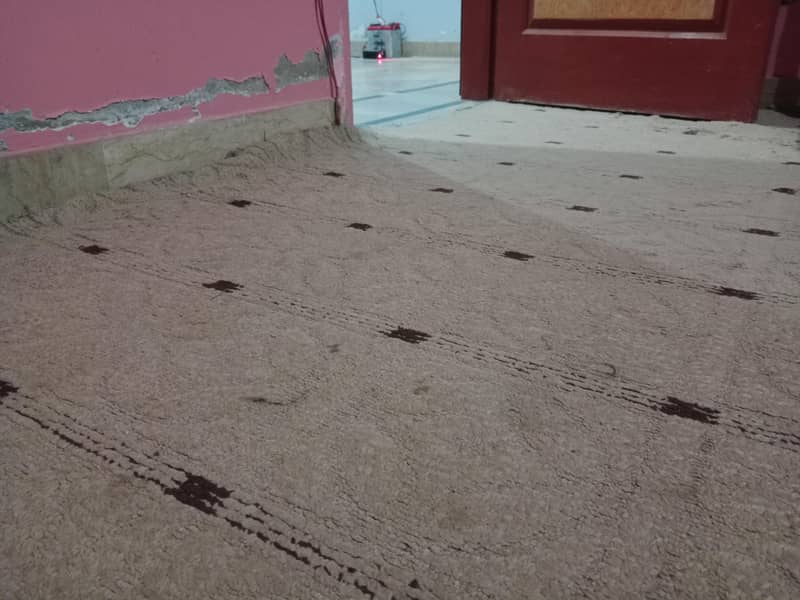 کالین carpet 2