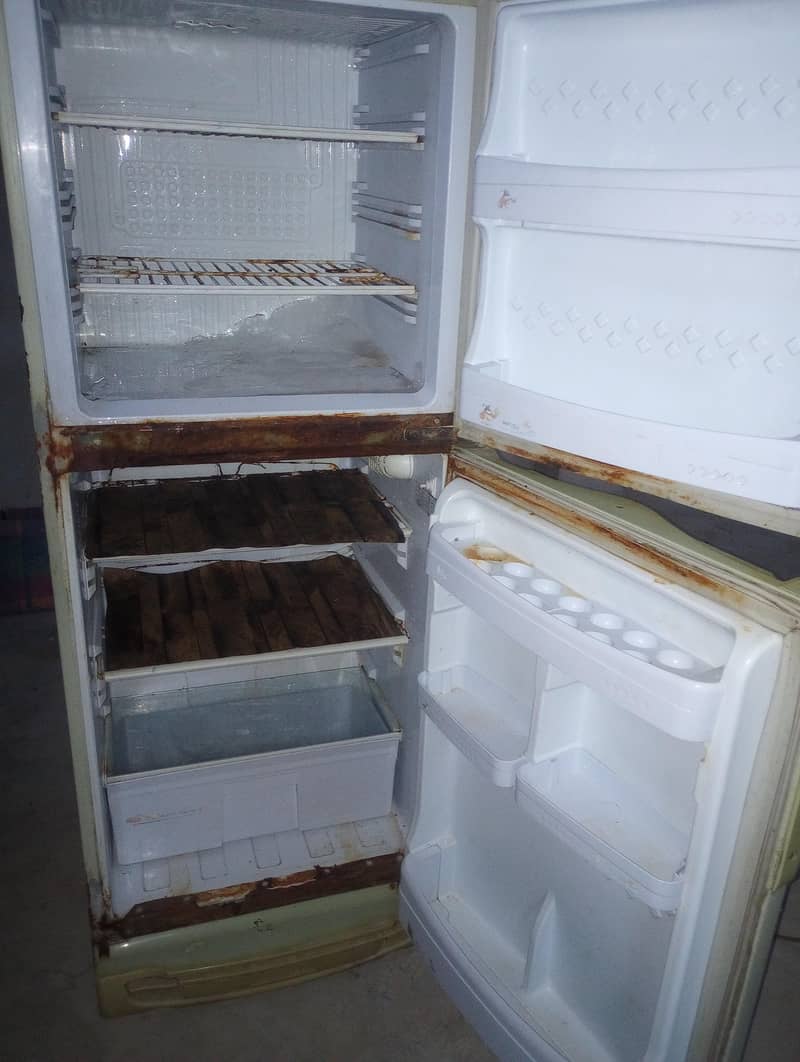 pel fridge 1