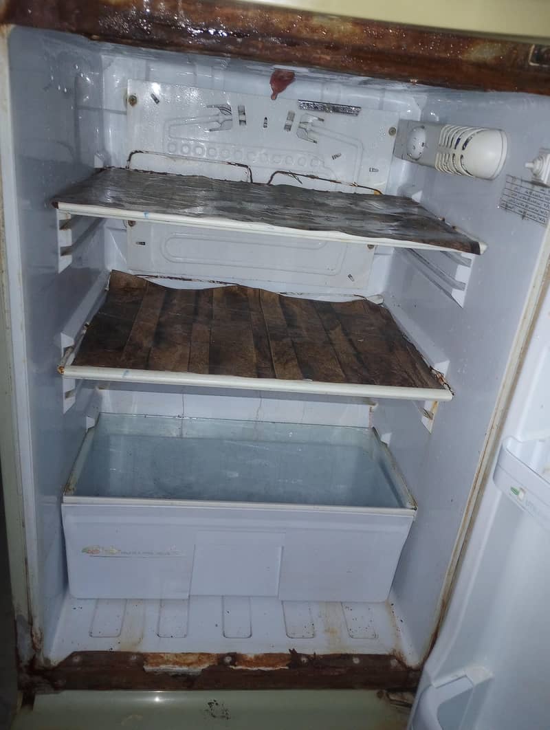 pel fridge 5
