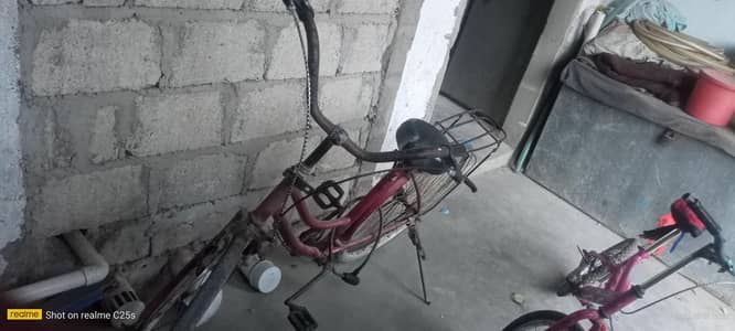 japanese cycle