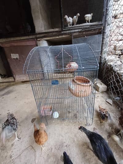 cage available for sale