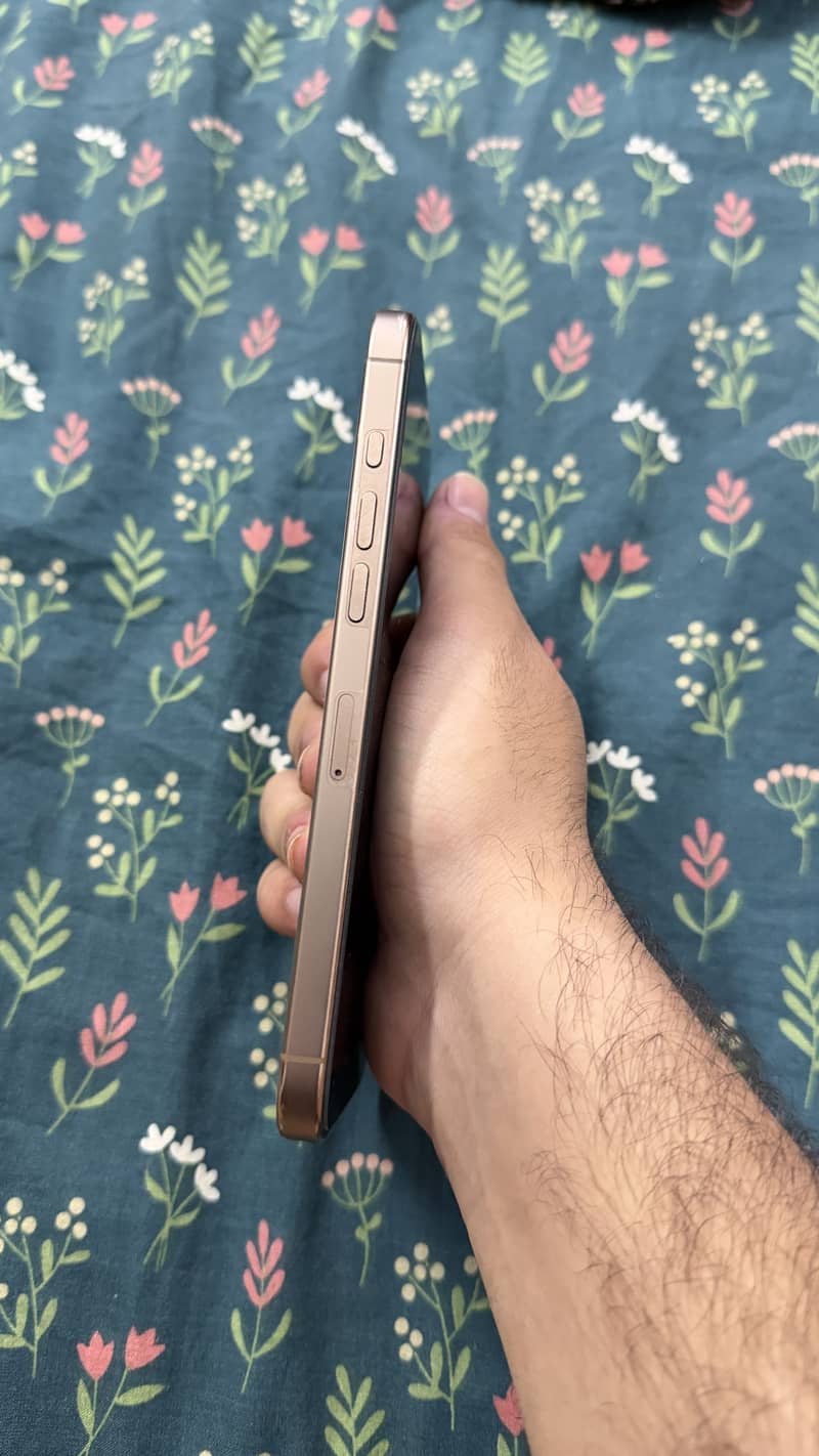Iphone 16 pro max 4