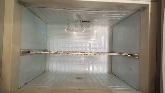 pel freezer