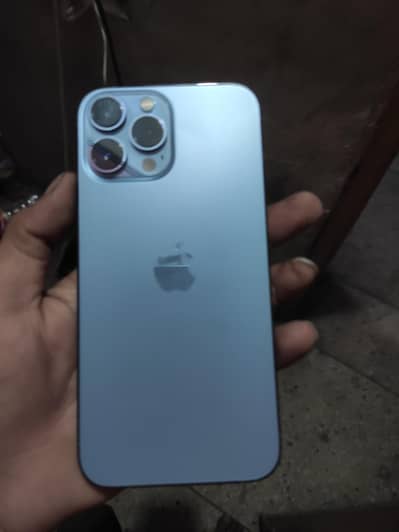 13 pro max