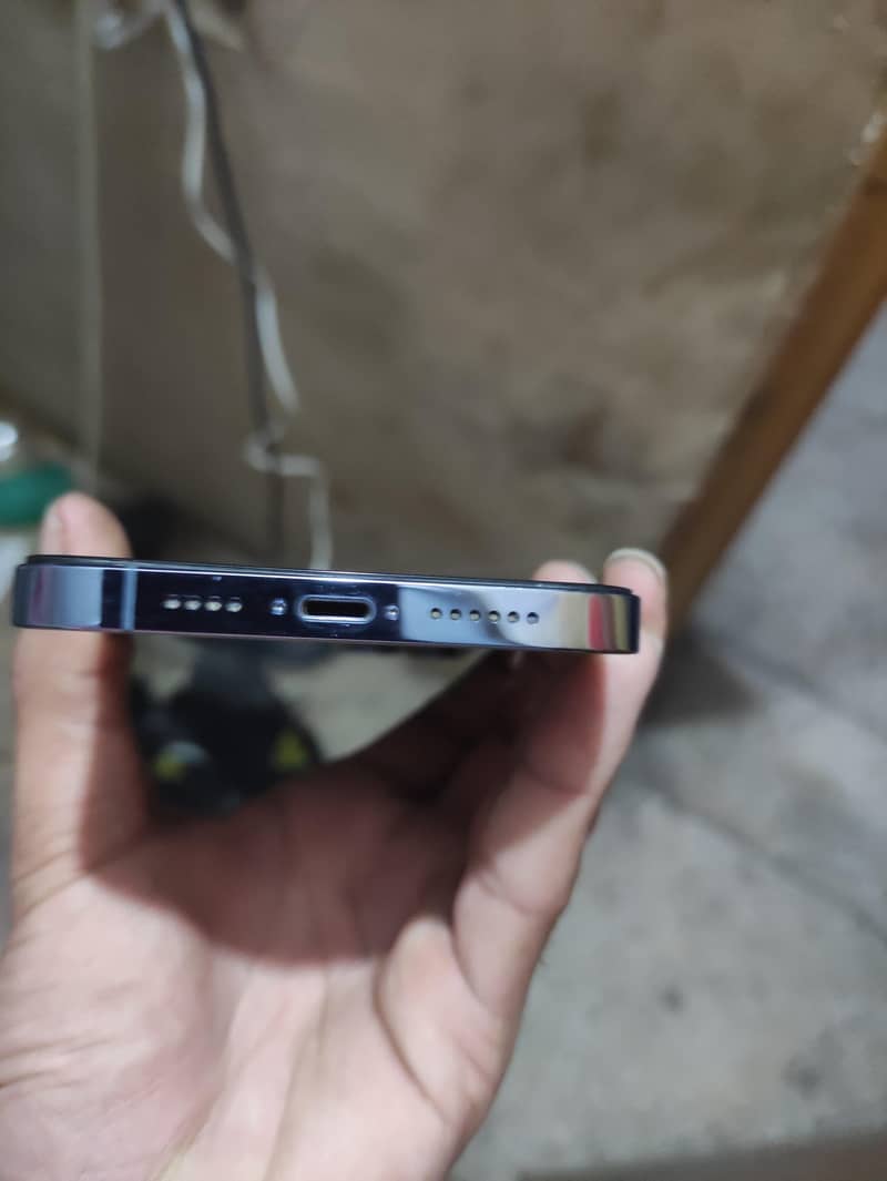 13 pro max 1